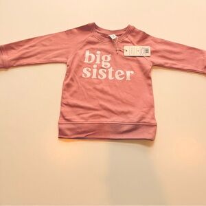 Big Sister Colored Organics Portland Pullover Organic Cotton Size 18-24M NWT
